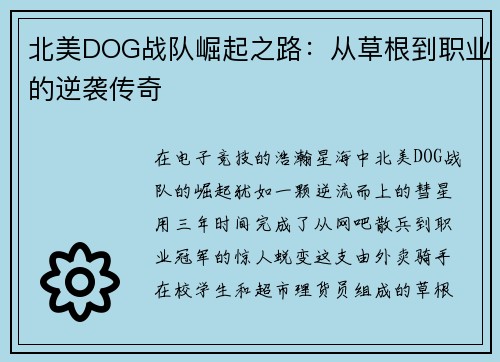 北美DOG战队崛起之路：从草根到职业的逆袭传奇