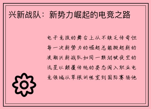 兴新战队：新势力崛起的电竞之路