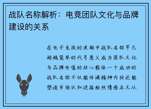 战队名称解析：电竞团队文化与品牌建设的关系